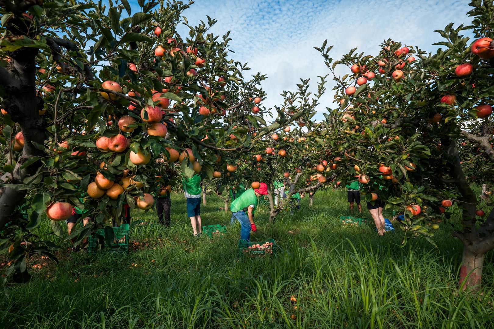 Espigolar per transformar